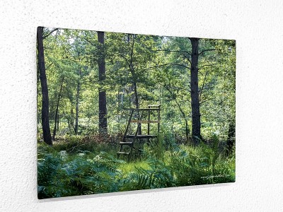 Toile "Sologne mirador"