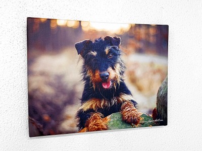 Toile "Jagd terrier"